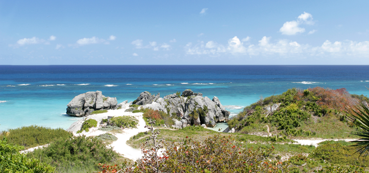 bermuda-cruises